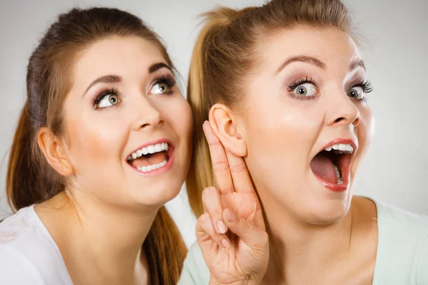 Young Woman Telling Her Friend Some Secrets Two Women Talking — Stock Photo, Image