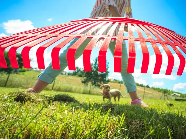 Ovanlig Vinkel Kvinnan Kratta Löv Med Kratta Person Som Tar — Stockfoto