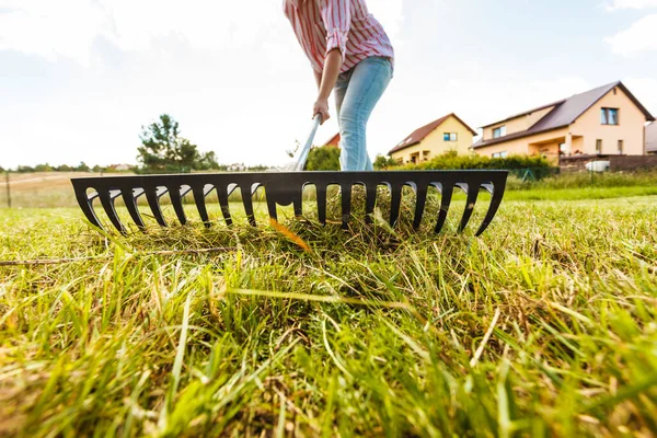 Folhas Cozedura Usando Ancinho Pessoa Cuidando Jardim Casa Quintal Grama — Fotografia de Stock