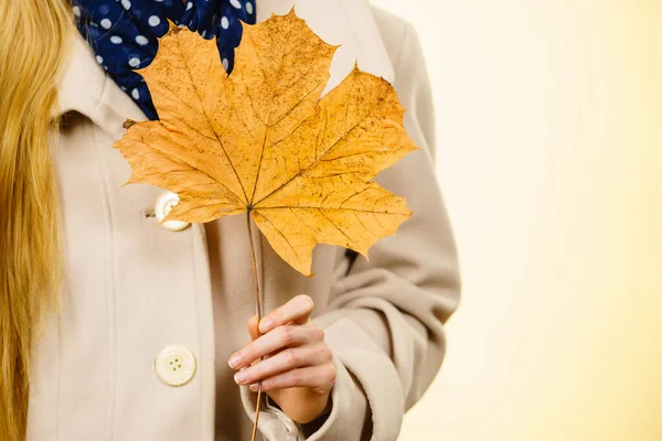 Autumnal Natural Decorations Concept Woman Holding Autumn Leaf Studio Shot — Stock Photo, Image