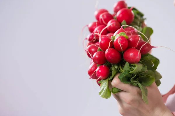 Femme Main Tenant Rouge Délicieux Radis Légume Sur Gris Espace — Photo