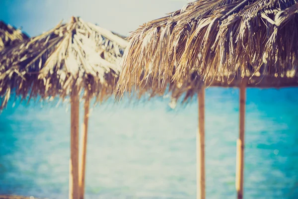 Sun Parasols Giving Shadow Sandy Beach Nobody Sea Water — Stock Photo, Image