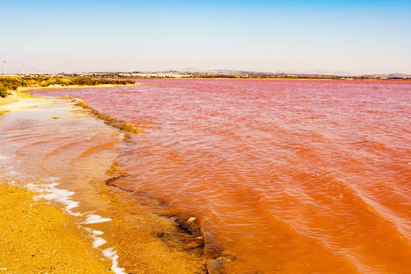 Pink Lake Torrevieja Spain Alicante Province Coastal Landscape Tourist Attraction — Stock Photo, Image