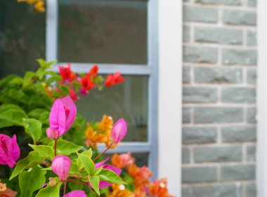 Evde çiçek açık bir pencere arka planı vardır