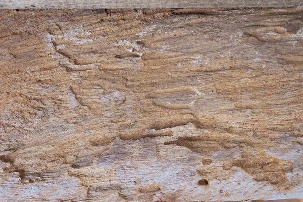 Fából Készült Háttér Textúra — Stock Fotó