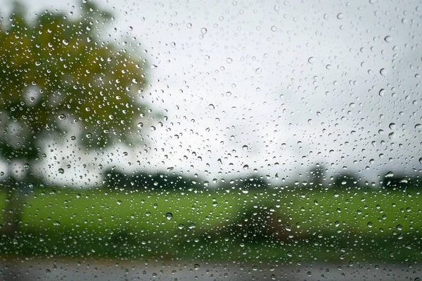 Rain Drop Window Tree Sky Background Use Background — Stock Photo, Image