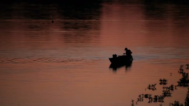 Silhouette Men Boat Searching Fish Dusk — ストック動画