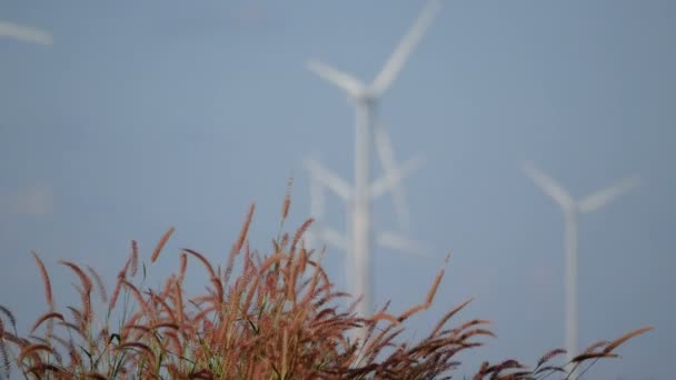 Fiori Erba Che Ondeggiano Nel Vento Offuscano Turbine Eoliche Girano — Video Stock