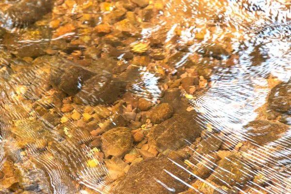 Rocce sotto l'acqua chiare con la luce del sole al mattino — Foto Stock