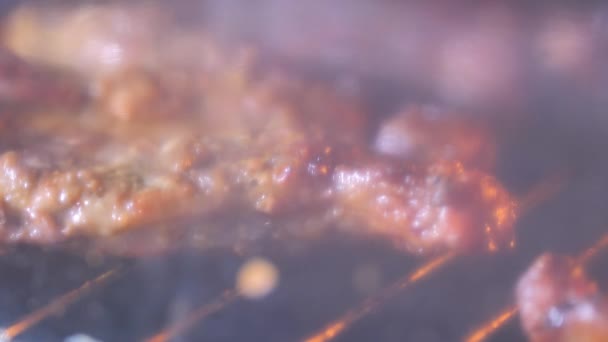 Ouvrir Four Regarder Les Steaks Griller — Video
