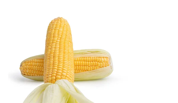 Свежесть Сырой Кукурузы Изолированы Белом Фоне Обрезки Пути Желтые Семена — стоковое фото