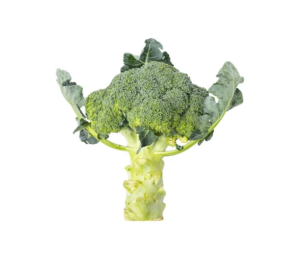 Broccoli Italian Cauliflower Arranged Cruciferous Vegetables Scientific Name Brassica Oleracea — Stock Photo, Image