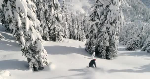 滑雪板骑马板通过粉雪场滑雪胜地阳光冬日 — 图库视频影像