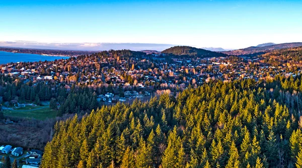 Forest View Bellingham Washington Fairhaven Stadsdelen — Stockfoto