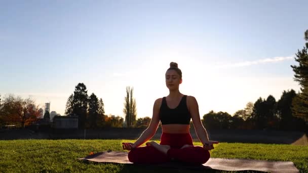凉爽的减少压力的概念 在瑜珈中的女人 在她身后飞翔的鸭子 公园明亮的背光阳光日 — 图库视频影像