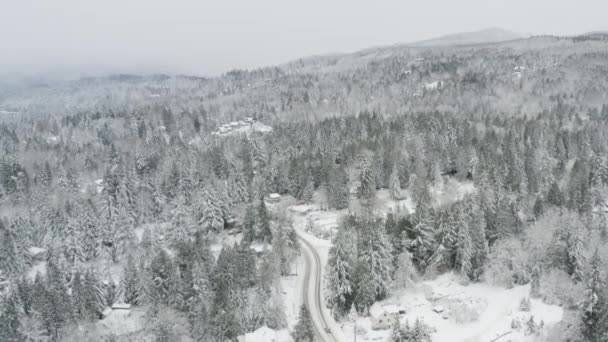 Whatcom Gölü Bellingham Washington Manzaralı Hava Görüntüleri — Stok video