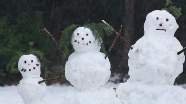 在松林前雪人家庭的特写镜头 — 图库视频影像