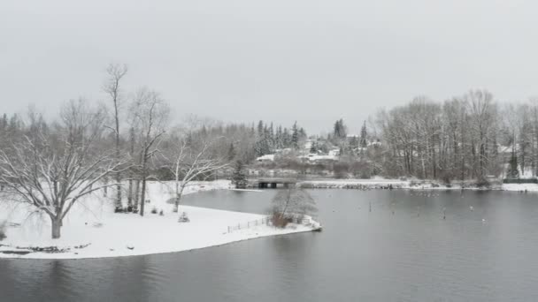 Scenic Aerial Footage Lake Whatcom Bellingham Washington — Stock Video