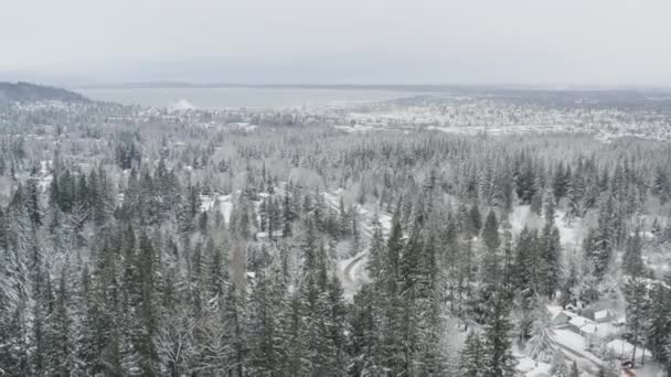 Whatcom Gölü Bellingham Washington Manzaralı Hava Görüntüleri — Stok video