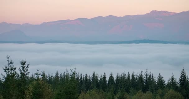 Snoqualmie Valley Ουάσιγκτον Ηπα Ομίχλη Σύννεφο Κάλυψη Sunset Forest Mountain — Αρχείο Βίντεο