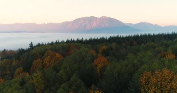 Aerial Arc Shot Drone View Forest Woodlands Snoqualmie Valley North — Stockvideo