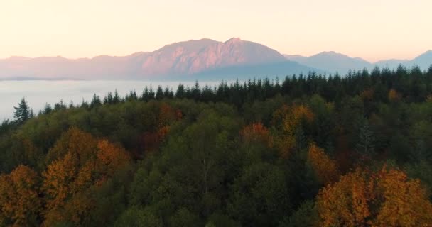 Mount Fast Motion Aerial Shot Über Autumn Forest Woodland Snoqualmie — Stockvideo