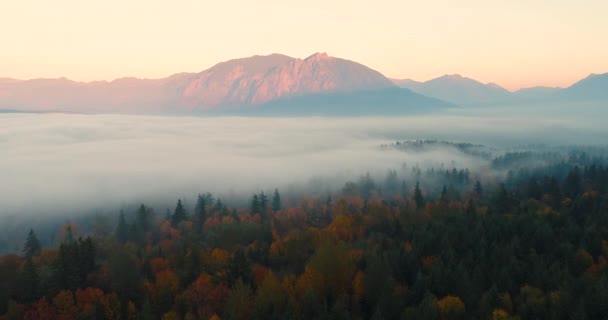 Snoqualmie Valley Washington États Unis Vue Aérienne Dessus Forêt Colored — Video
