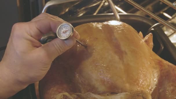 Comprobación Temperatura Del Horno Pavo Asado — Vídeos de Stock