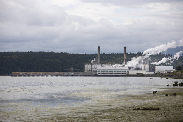 Пляж в Порт-Таунсенде
