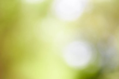 arka plan yeşil doğa ışık, Soyut Yeşil.