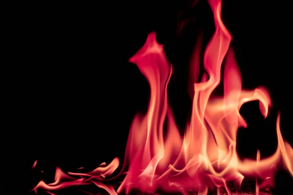 Абстрактный Химический Розовый Огонь Пламя Изолированы Черном Фоне — стоковое фото
