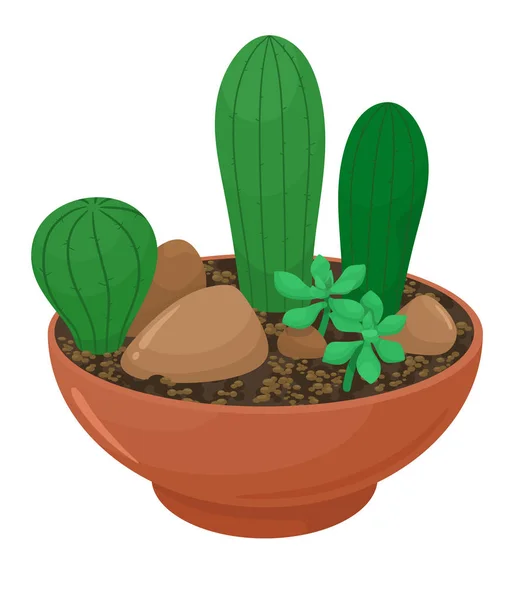 Decorative Cacti Succulents Flower Container Vector Illustration Cartoon Flat Style — 스톡 벡터