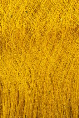  Sarı koza ipek solucanın gelen ham, işlenmemiş İpek iplik