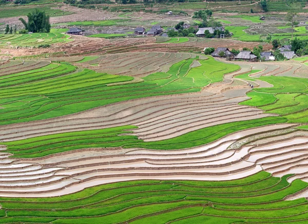 Terrasserade risfält i Vietnam — Stockfoto