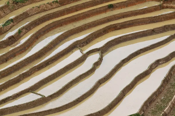 Terrasvormige rijstvelden in Vietnam — Stockfoto