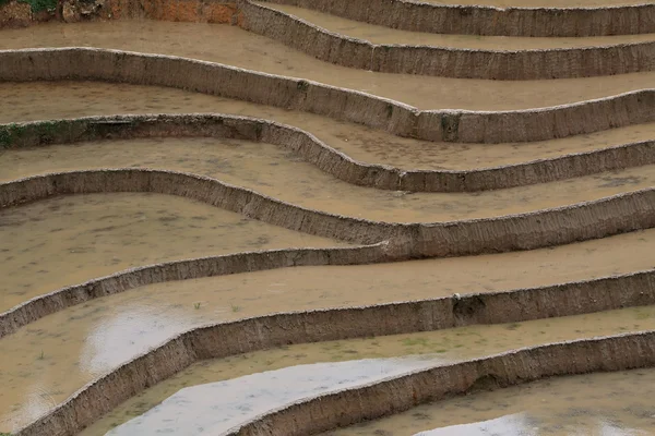 Terraced rice fields in Vietnam — Stock Photo, Image