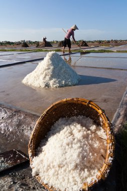 Kimliği belirsiz bir çiftçi tuz hasat