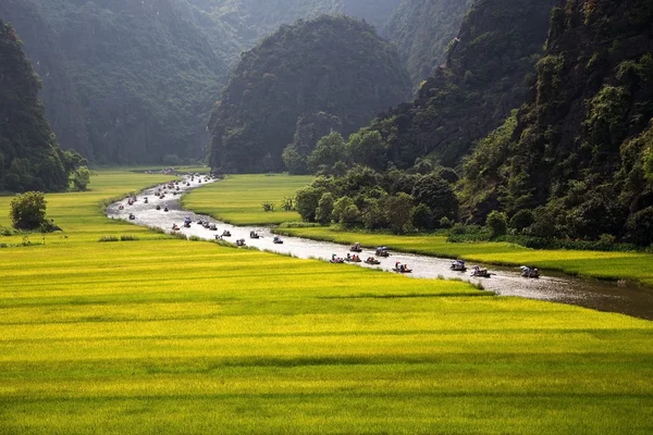 Landscape with mountains, rice fields and river — Stock Photo, Image