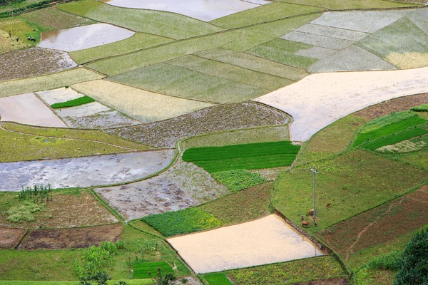 Campos de arroz adosados en Vietnam —  Fotos de Stock