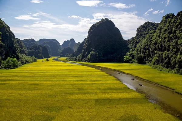 Пейзаж с горами, рисовыми полями и рекой — стоковое фото
