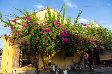 Bir antik mimari Hoi An, Vietnam