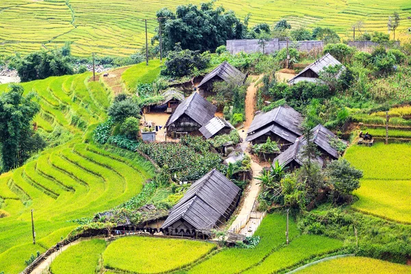 Campos de arroz adosados en Vietnam — Foto de Stock