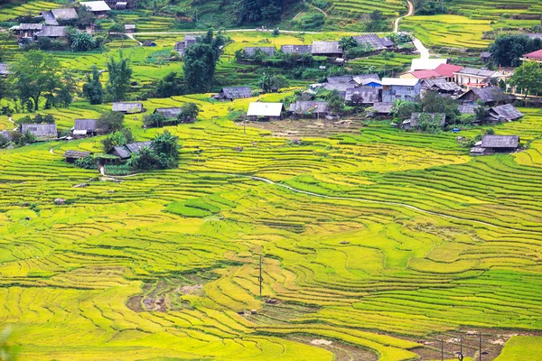 Campos de arroz adosados en Vietnam —  Fotos de Stock