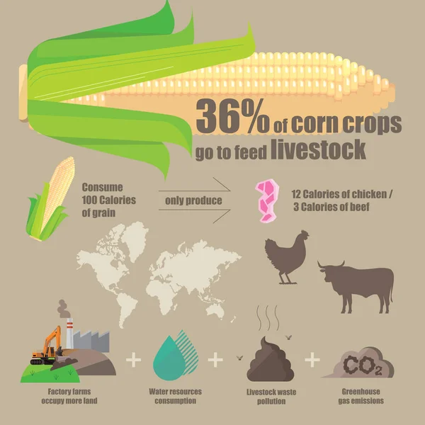 家畜を養うために使用される作物の植え付けの有効性と問題のインフォグラフィック図 — ストックベクタ