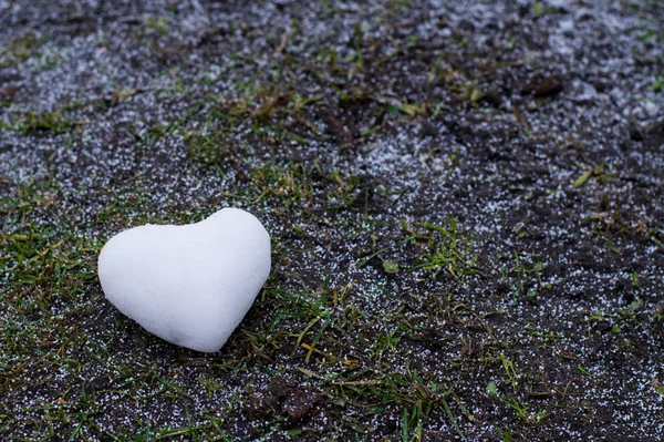 Snow heart on earth