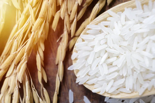 Sluitplanten met witte rijst en onvolwitte rijst. — Stockfoto
