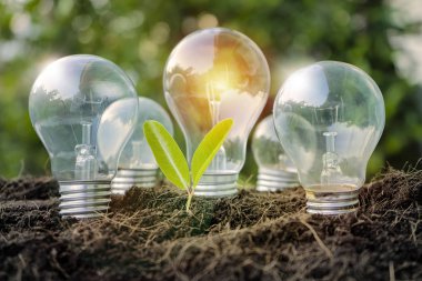 Yenilenebilir Enerji.