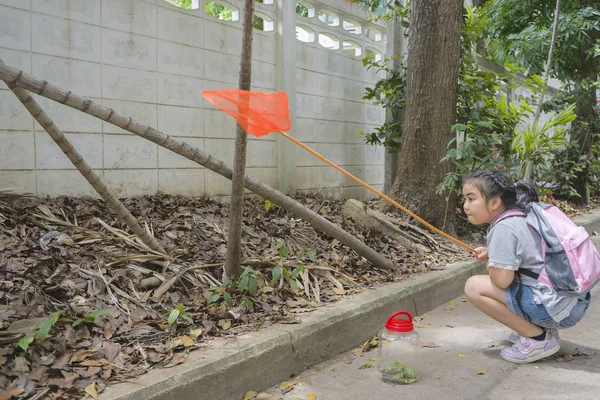 Self-learning experience. She is committed concept. — Stock Photo, Image