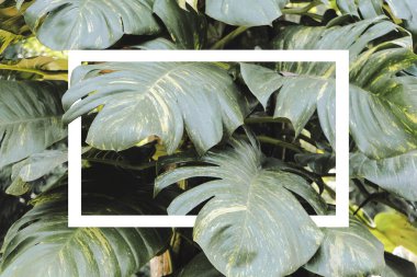 Reklam medyası için beyaz kare çerçeve.