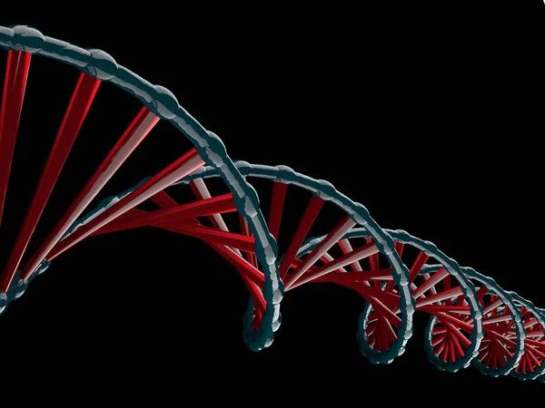 Dna 모델의 디지털 그림입니다. 3 차원 렌더링 — 스톡 사진